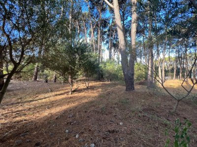 Terreno de 1000m2 en Reserva Montoya