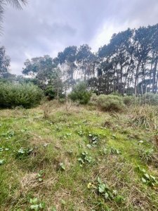 Excelente Terreno en venta en Barra Verde, La Barra, Punta del Este.