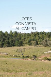 LOTES EN LAGUNA ESCONDIDA - JOSE IGNACIO