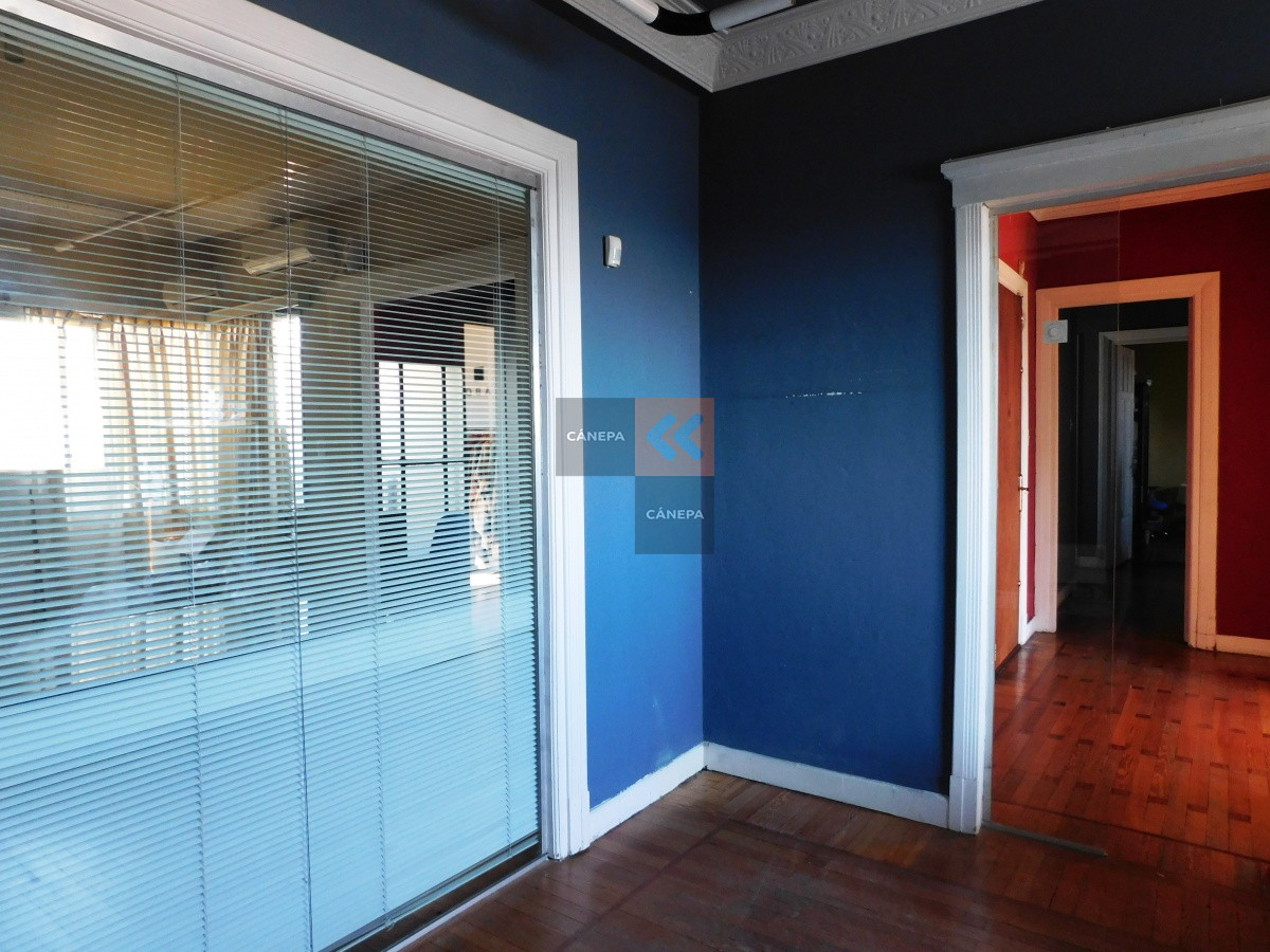 Ciudad Vieja - GoPunta - Portal Inmobiliario de Punta del Este - Maldonado