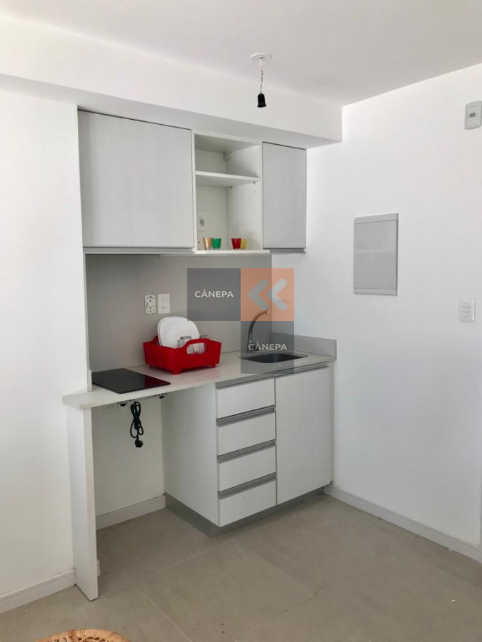 Punta Carretas - GoPunta - Portal Inmobiliario de Punta del Este - Maldonado
