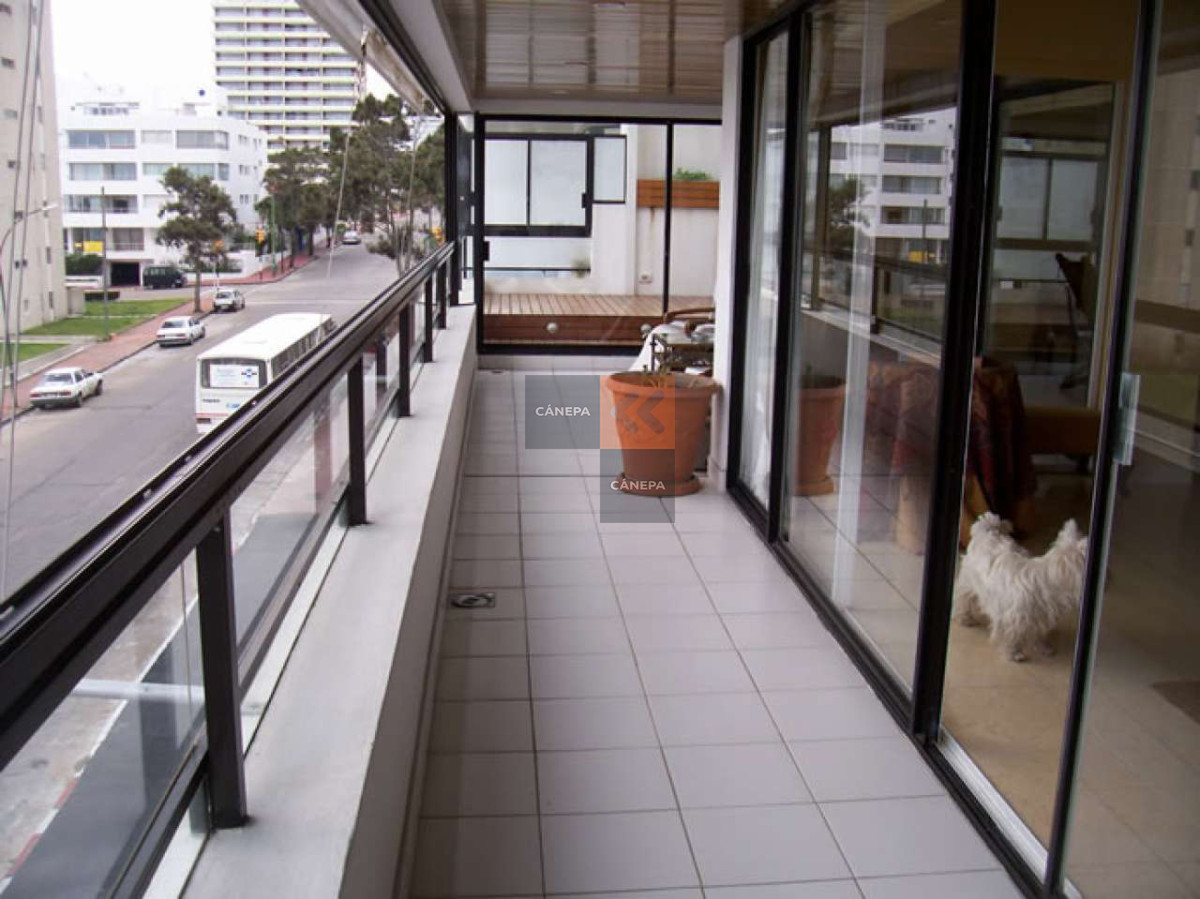 Península - GoPunta - Portal Inmobiliario de Punta del Este - Maldonado