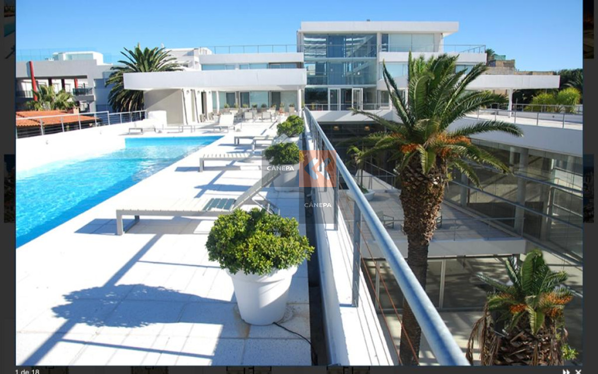 Puerto - GoPunta - Portal Inmobiliario de Punta del Este - Maldonado