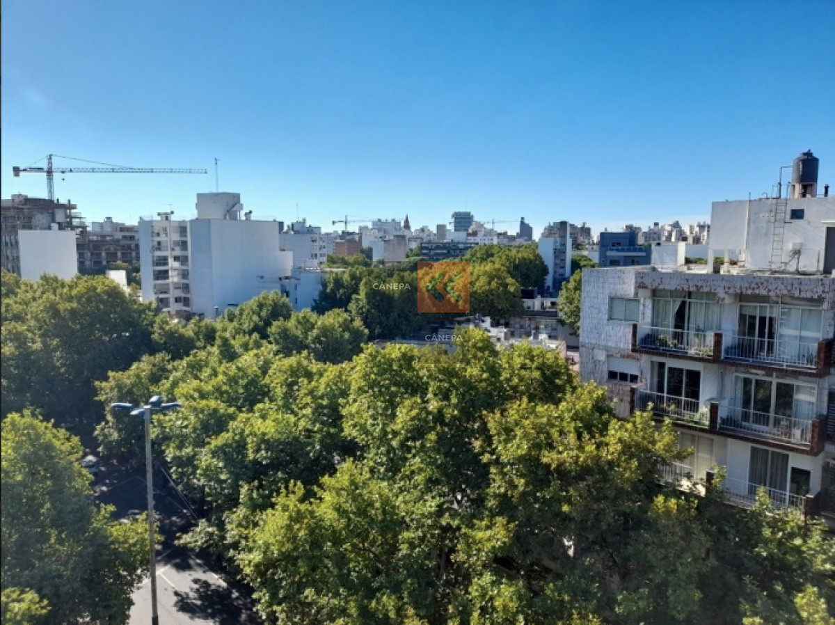 Parque Rodo - GoPunta - Portal Inmobiliario de Punta del Este - Maldonado