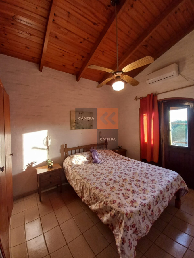 Tio Tom - GoPunta - Portal Inmobiliario de Punta del Este - Maldonado