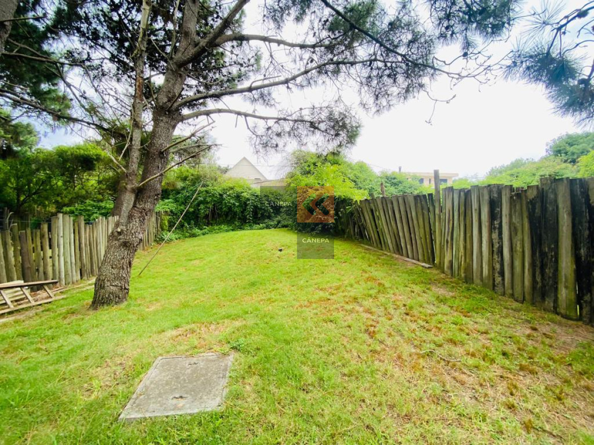 Tio Tom - GoPunta - Portal Inmobiliario de Punta del Este - Maldonado