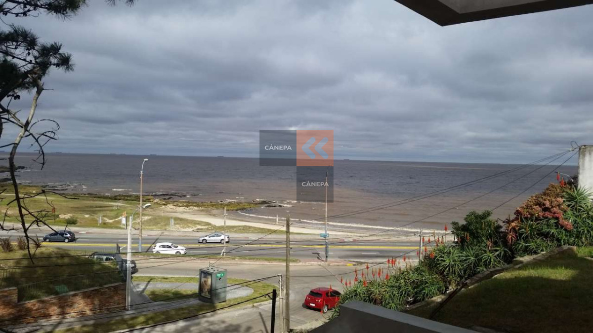 Punta Gorda - GoPunta - Portal Inmobiliario de Punta del Este - Maldonado