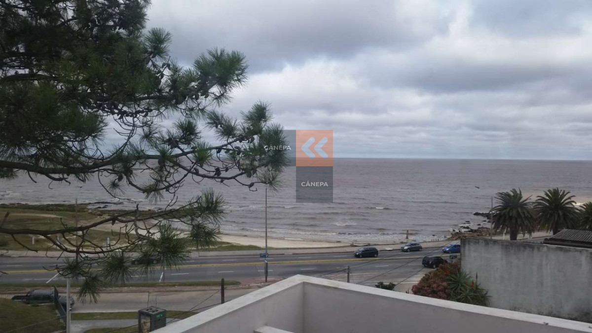 Punta Gorda - GoPunta - Portal Inmobiliario de Punta del Este - Maldonado