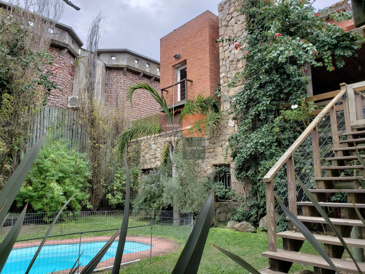 Tio Tom - GoPunta - Portal Inmobiliario de Punta del Este - Maldonado