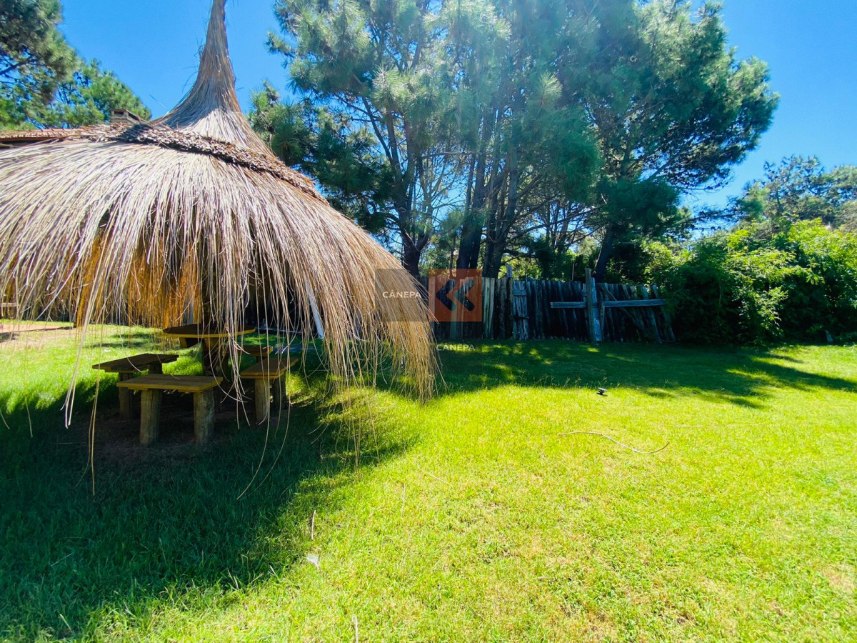 Tio Tom - GoPunta - Portal Inmobiliario de Punta del Este - Maldonado