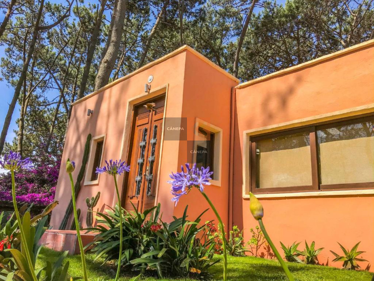 Punta Ballena - GoPunta - Portal Inmobiliario de Punta del Este - Maldonado