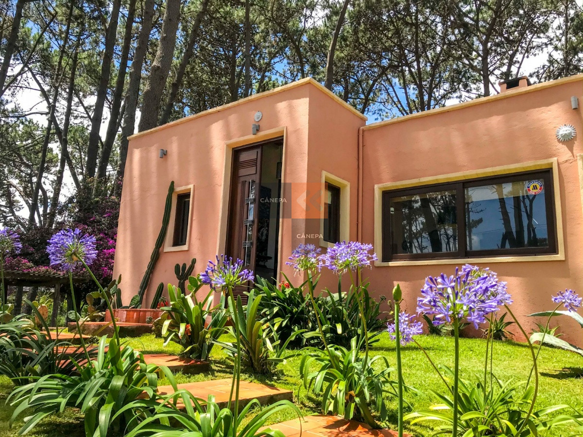 Punta Ballena - GoPunta - Portal Inmobiliario de Punta del Este - Maldonado