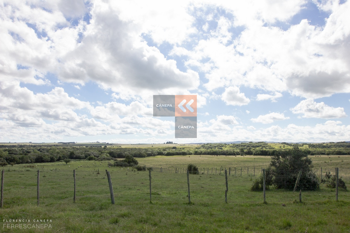 Ruta 9 - GoPunta - Portal Inmobiliario de Punta del Este - Maldonado