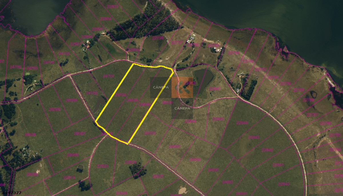 Laguna Garzón - GoPunta - Portal Inmobiliario de Punta del Este - Maldonado