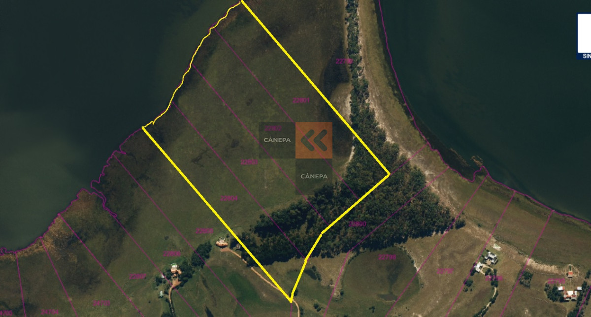 Garzon - GoPunta - Portal Inmobiliario de Punta del Este - Maldonado