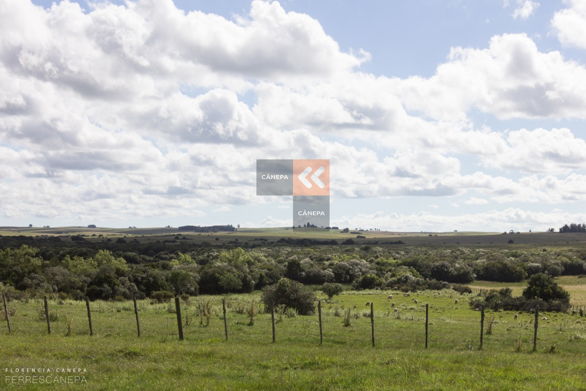 Ruta 9 - GoPunta - Portal Inmobiliario de Punta del Este - Maldonado