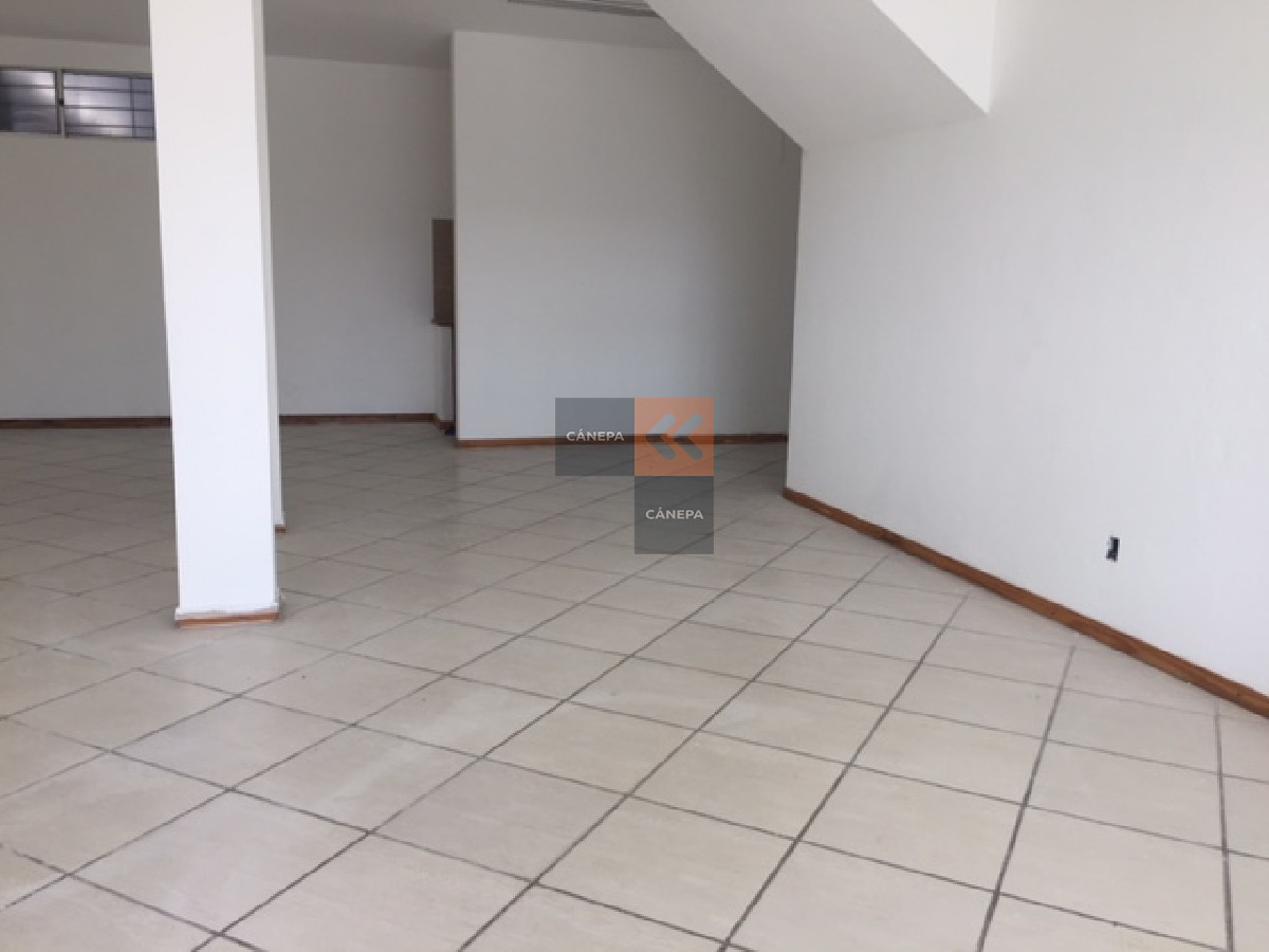 Maldonado - GoPunta - Portal Inmobiliario de Punta del Este - Maldonado