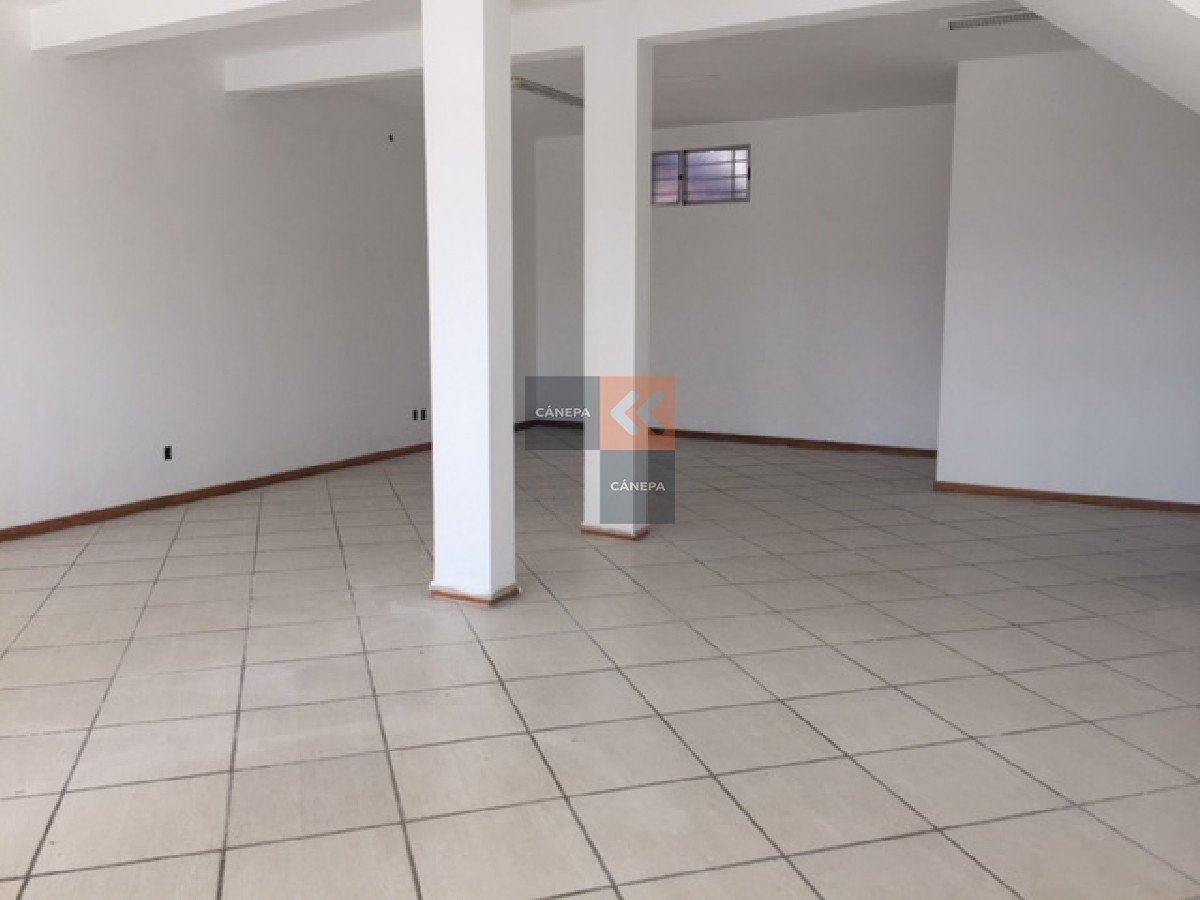 Maldonado - GoPunta - Portal Inmobiliario de Punta del Este - Maldonado