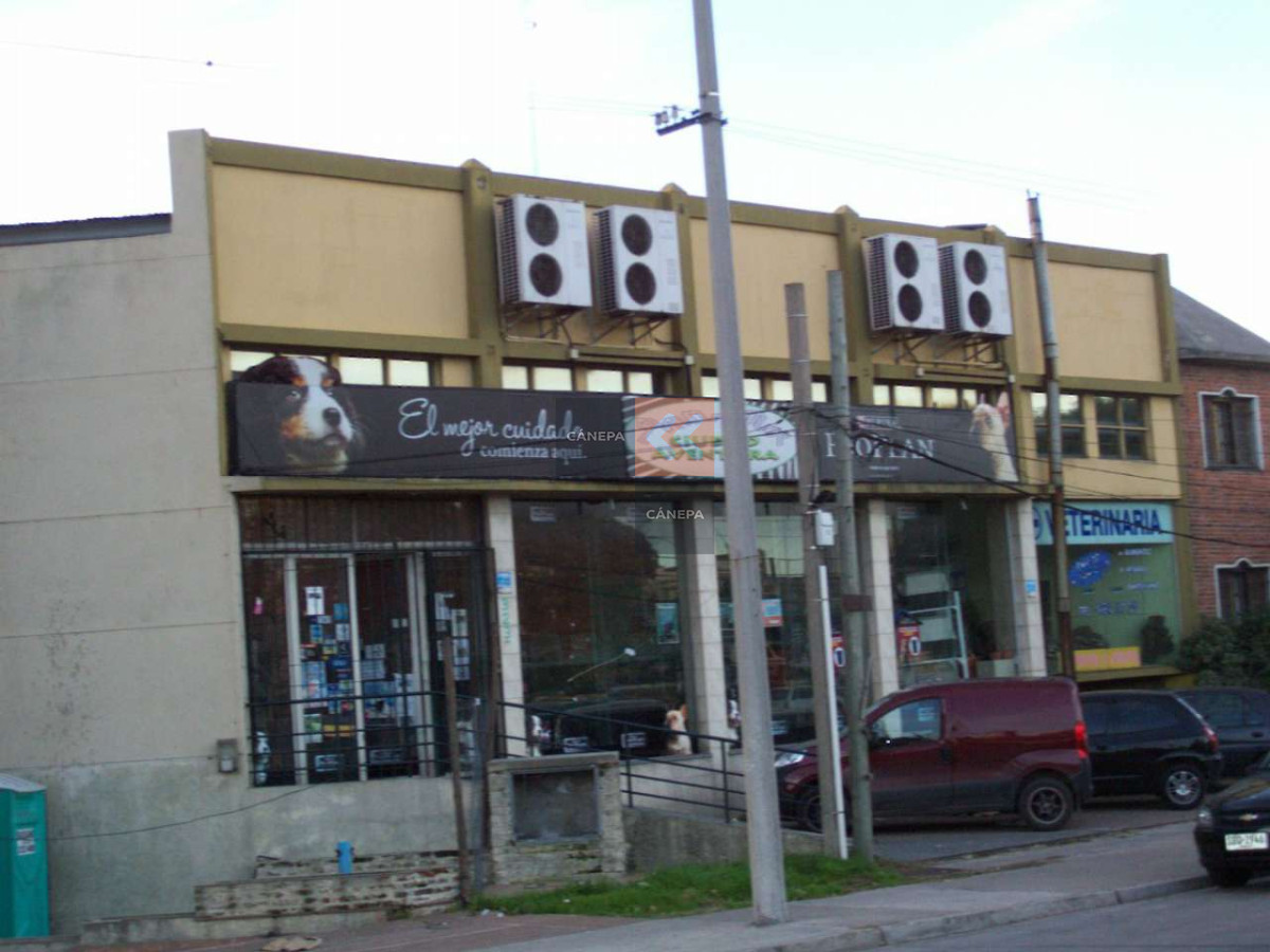 La Blanqueada - GoPunta - Portal Inmobiliario de Punta del Este - Maldonado