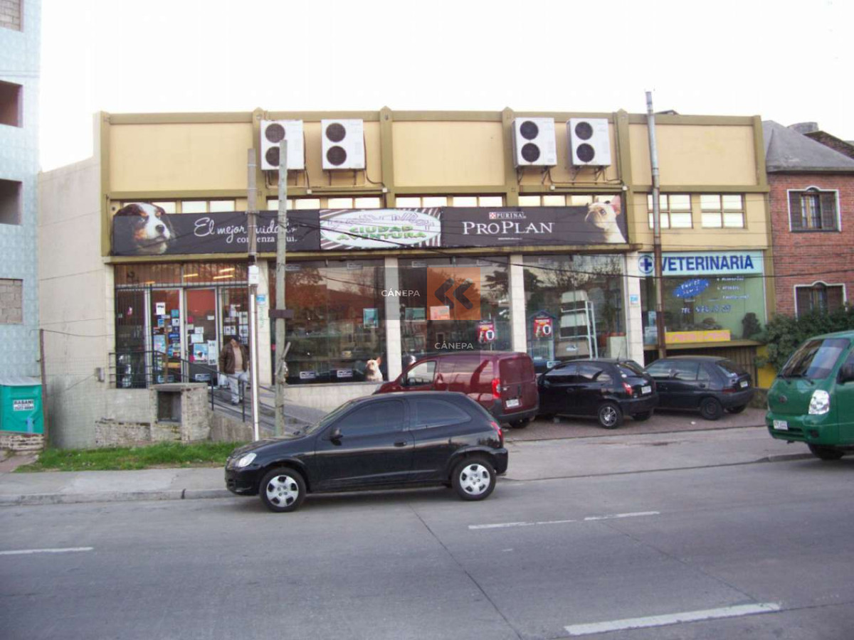 La Blanqueada - GoPunta - Portal Inmobiliario de Punta del Este - Maldonado
