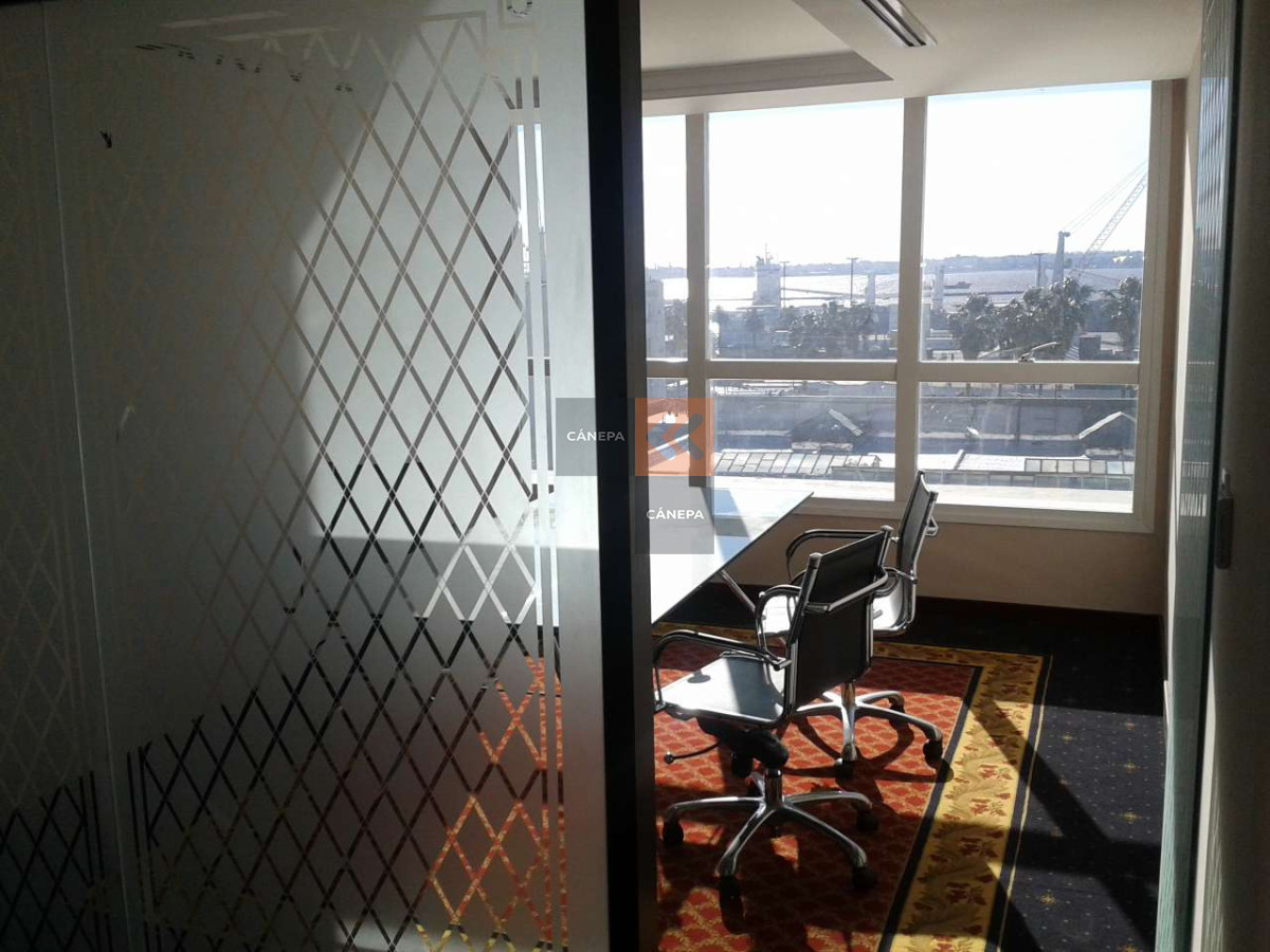 Ciudad Vieja - GoPunta - Portal Inmobiliario de Punta del Este - Maldonado