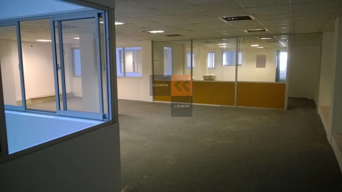 Ciudad Vieja - GoPunta - Portal Inmobiliario de Punta del Este - Maldonado