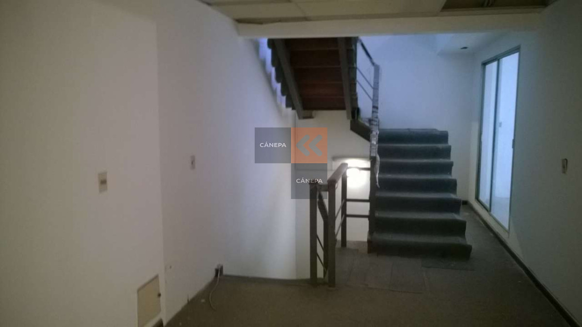 Ciudad Vieja - GoPunta - Portal Inmobiliario de Punta del Este - Maldonado