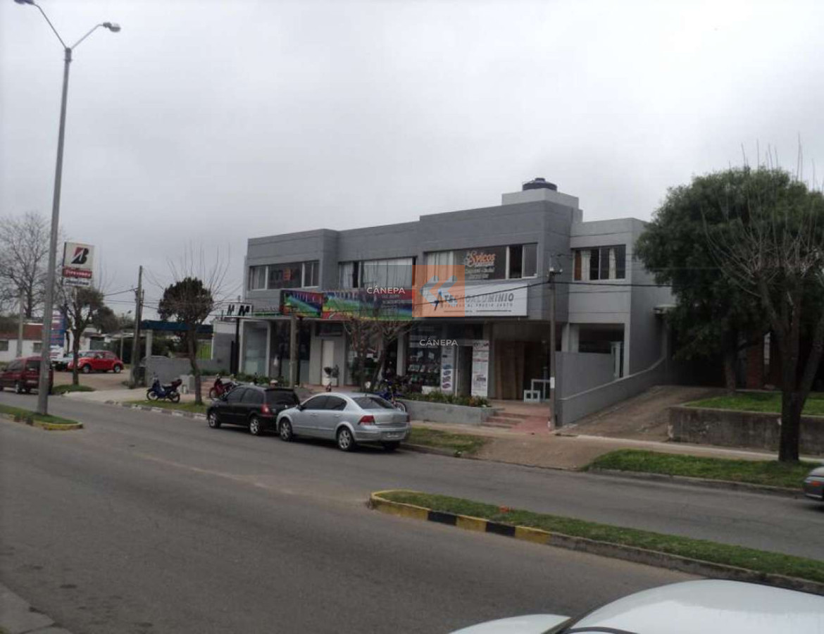 Maldonado - GoPunta - Portal Inmobiliario de Punta del Este - Maldonado