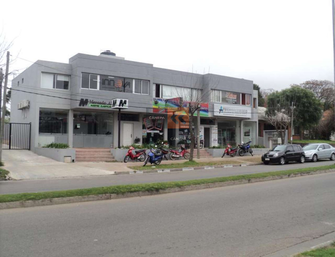 Maldonado - GoPunta - Portal Inmobiliario de Punta del Este - Maldonado