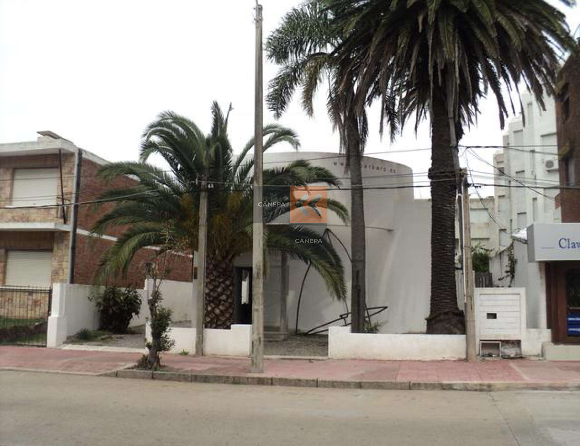Península - GoPunta - Portal Inmobiliario de Punta del Este - Maldonado