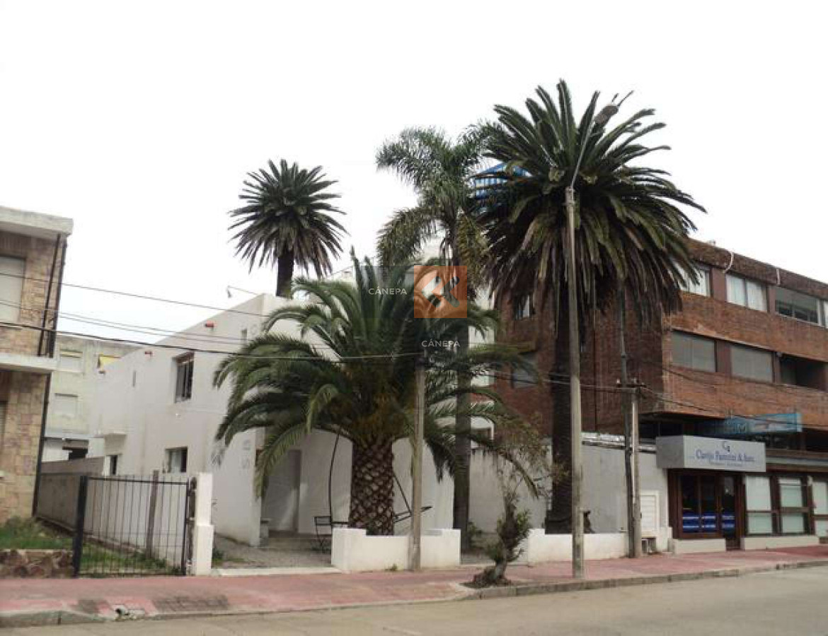 Península - GoPunta - Portal Inmobiliario de Punta del Este - Maldonado