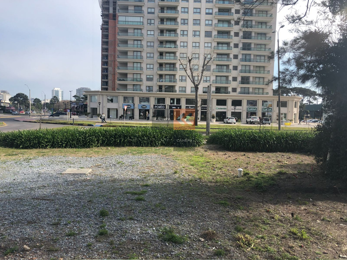 Roosevelt - GoPunta - Portal Inmobiliario de Punta del Este - Maldonado
