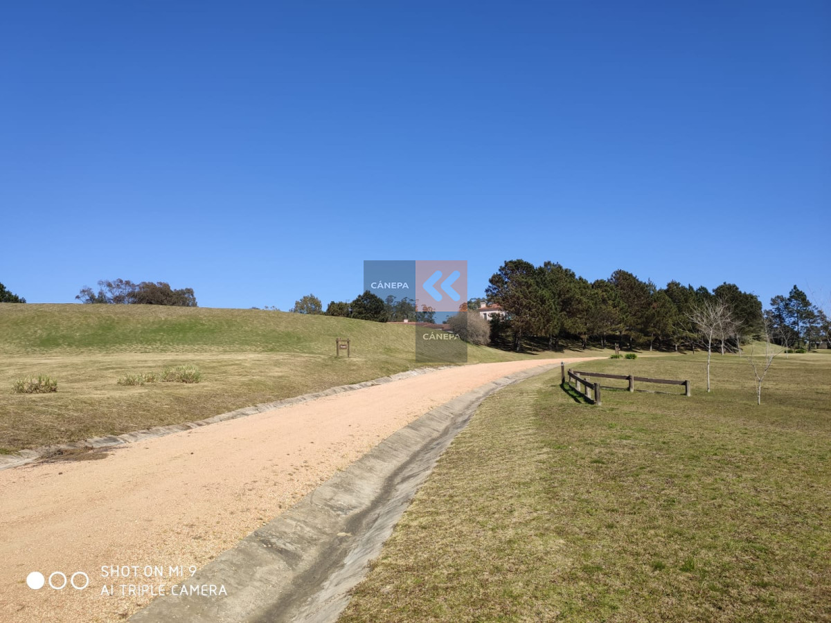 Balneario Buenos Aires - GoPunta - Portal Inmobiliario de Punta del Este - Maldonado