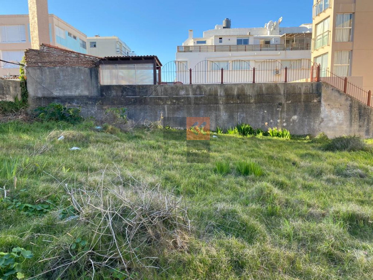 Península - GoPunta - Portal Inmobiliario de Punta del Este - Maldonado