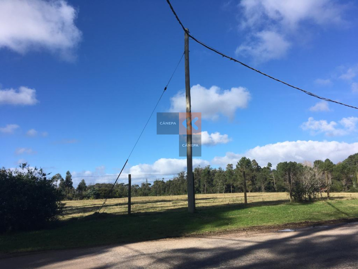 Rincón del Indio - GoPunta - Portal Inmobiliario de Punta del Este - Maldonado