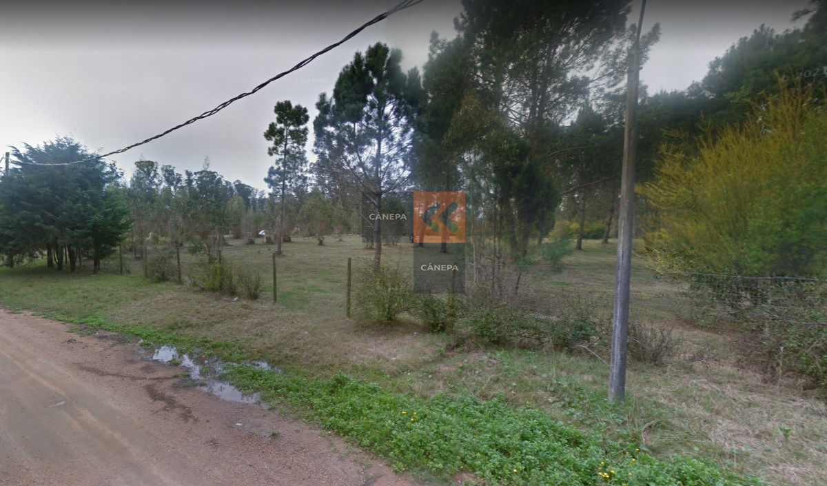 Rincón del Indio - GoPunta - Portal Inmobiliario de Punta del Este - Maldonado
