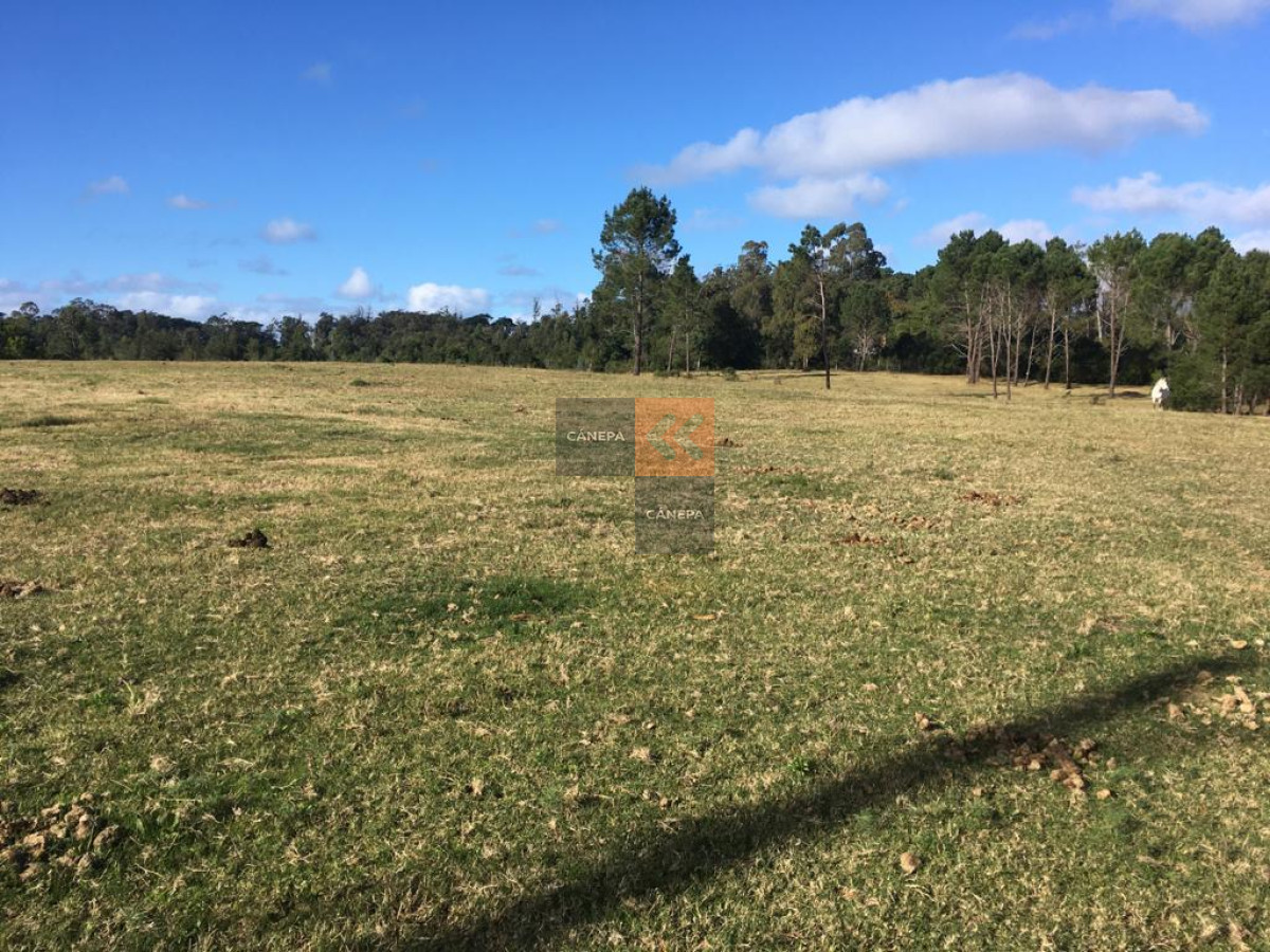 Rincón del Indio - GoPunta - Portal Inmobiliario de Punta del Este - Maldonado