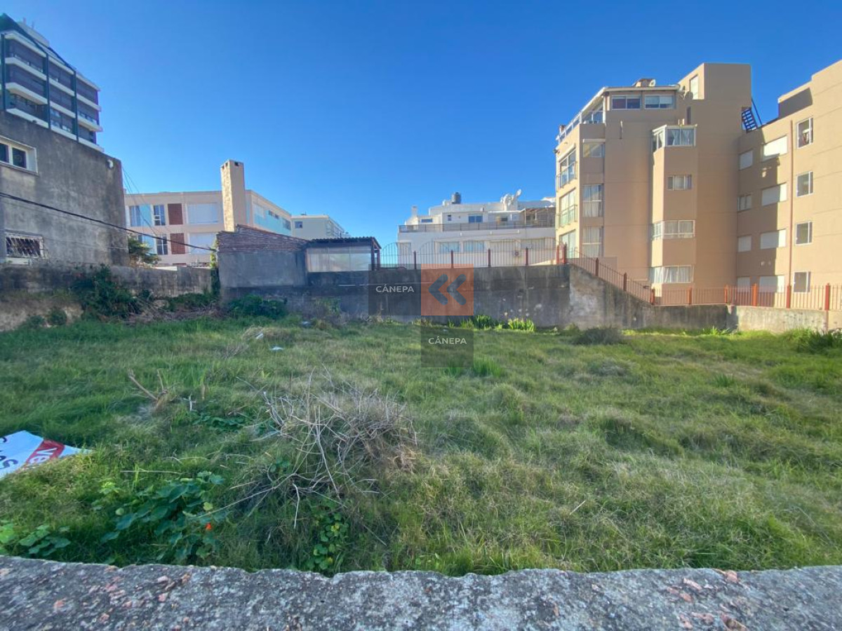 Península - GoPunta - Portal Inmobiliario de Punta del Este - Maldonado