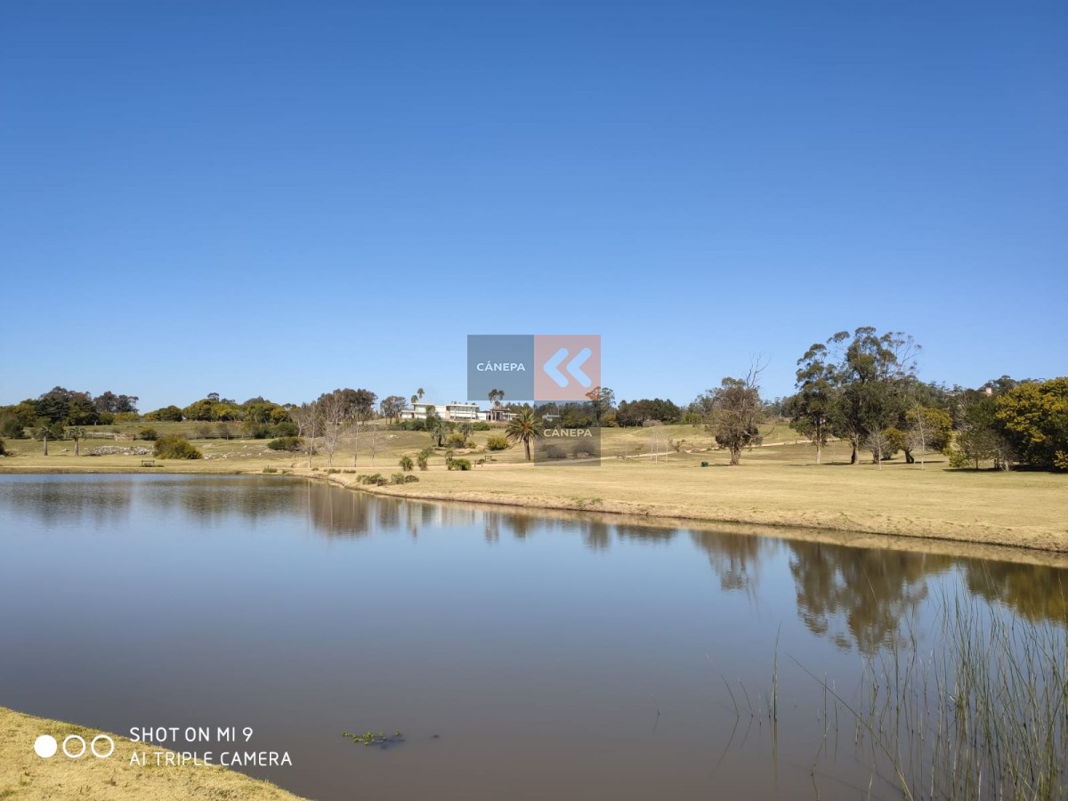 Balneario Buenos Aires - GoPunta - Portal Inmobiliario de Punta del Este - Maldonado