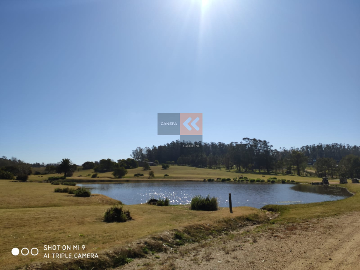 Balneario Buenos Aires - GoPunta - Portal Inmobiliario de Punta del Este - Maldonado