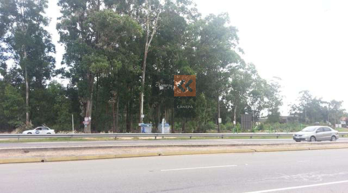Solanas - GoPunta - Portal Inmobiliario de Punta del Este - Maldonado