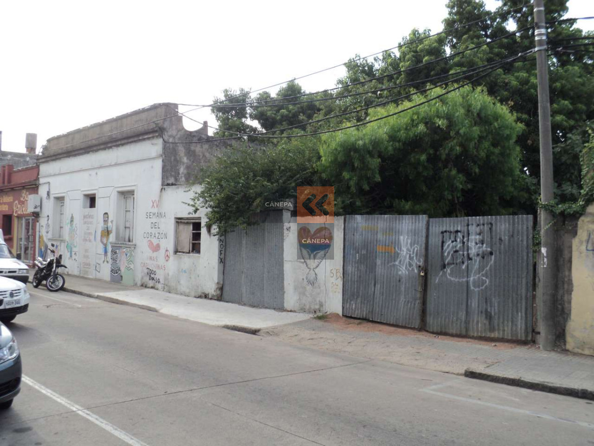 Maldonado - GoPunta - Portal Inmobiliario de Punta del Este - Maldonado
