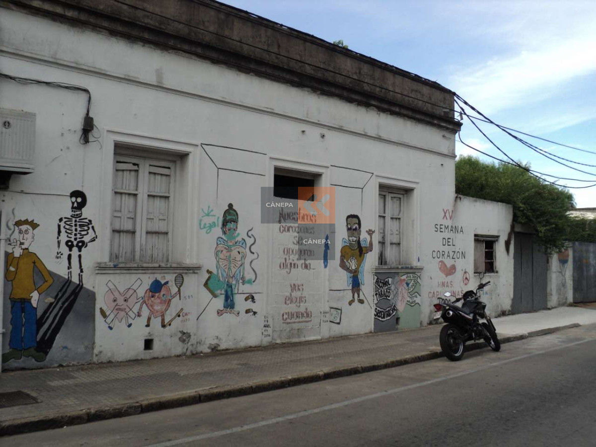 Maldonado - GoPunta - Portal Inmobiliario de Punta del Este - Maldonado
