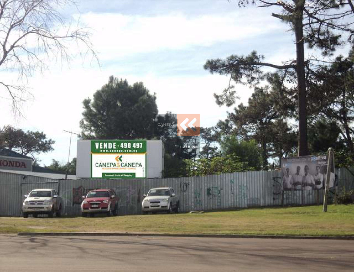 Roosevelt - GoPunta - Portal Inmobiliario de Punta del Este - Maldonado