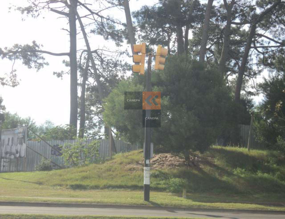 Roosevelt - GoPunta - Portal Inmobiliario de Punta del Este - Maldonado