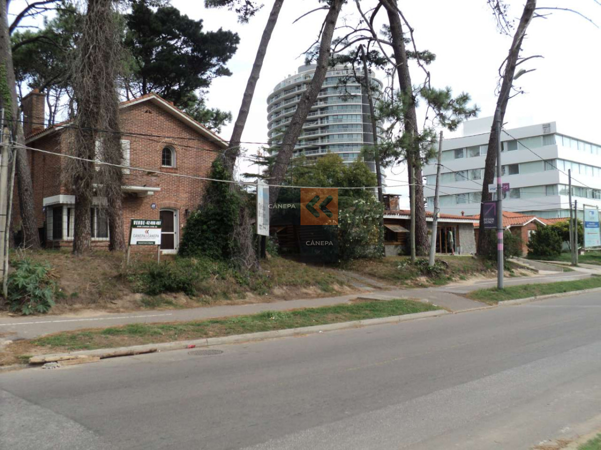 Roosevelt - GoPunta - Portal Inmobiliario de Punta del Este - Maldonado
