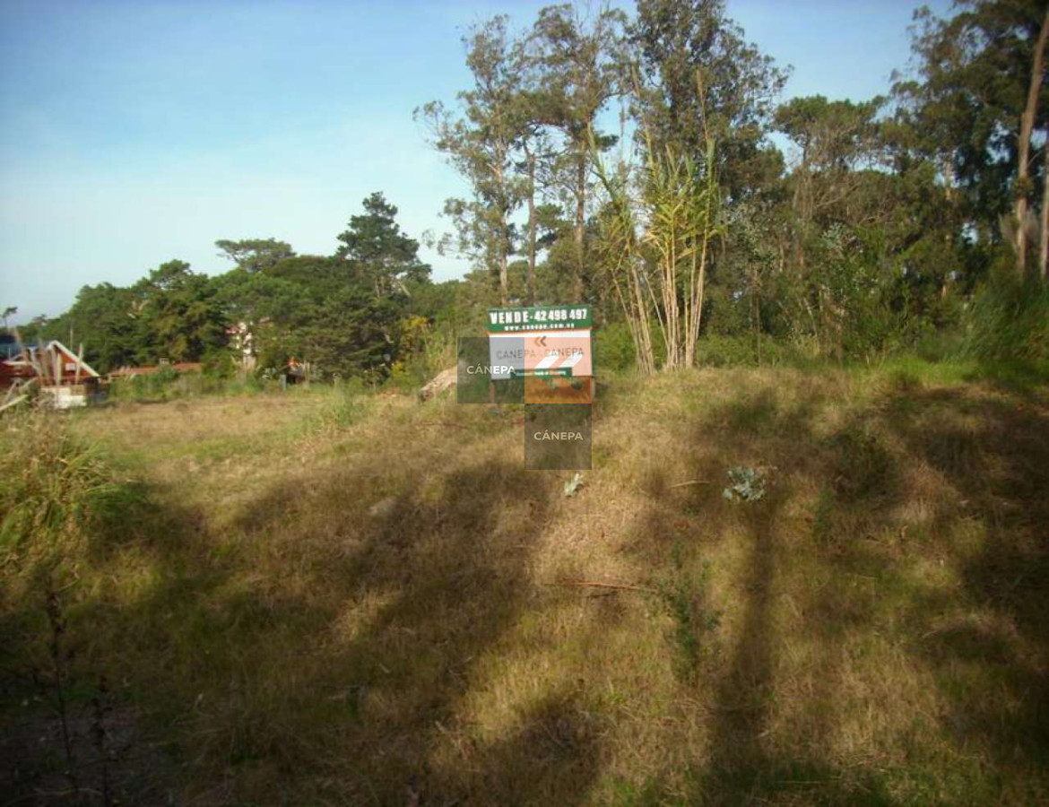 Golf - GoPunta - Portal Inmobiliario de Punta del Este - Maldonado