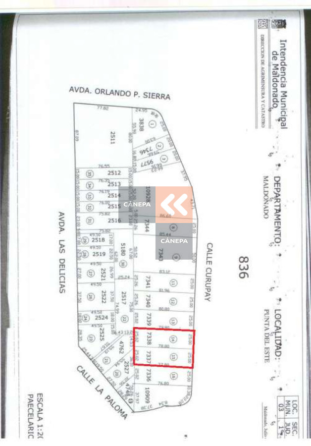 Golf - GoPunta - Portal Inmobiliario de Punta del Este - Maldonado