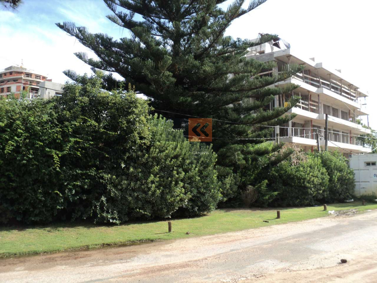Aidy Grill - GoPunta - Portal Inmobiliario de Punta del Este - Maldonado