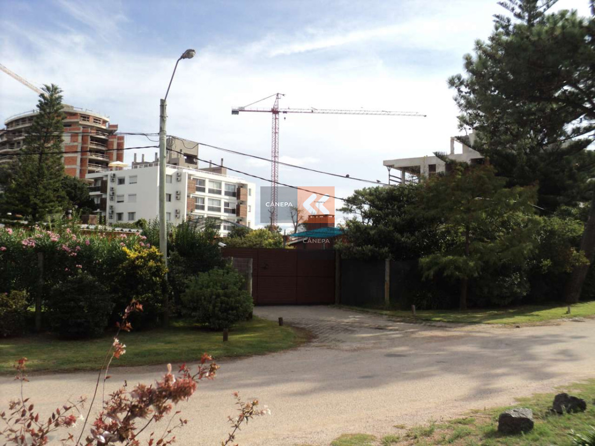Aidy Grill - GoPunta - Portal Inmobiliario de Punta del Este - Maldonado